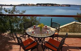 Pansion Zlatna Ribica 3*